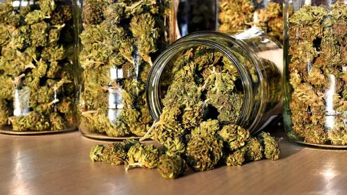 Cannabis Club in Malga Cannabis Club in Malga